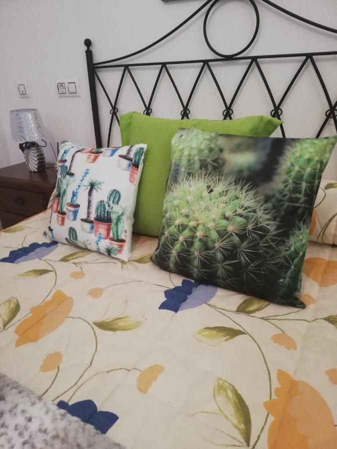 APARTAMENTO NATURISTA en PRIMERA LÍNEA DE VERA PLAYA!!! Las Bombardas Exterior foto