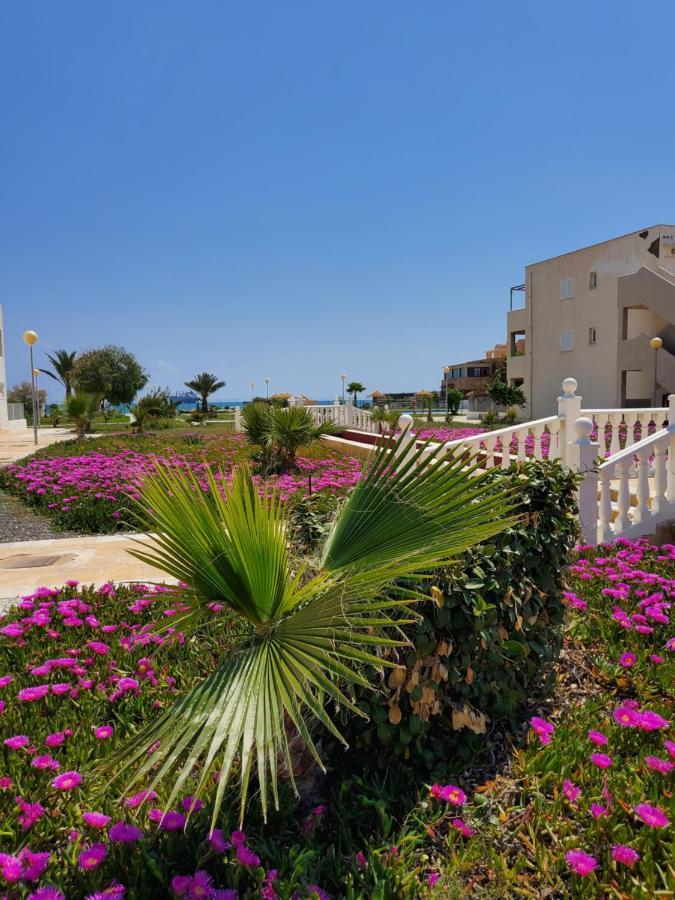APARTAMENTO NATURISTA en PRIMERA LÍNEA DE VERA PLAYA!!! Las Bombardas Exterior foto